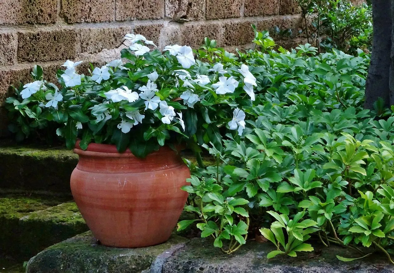 Bed & Breakfast Luna del Colle B&B Colle Brianza